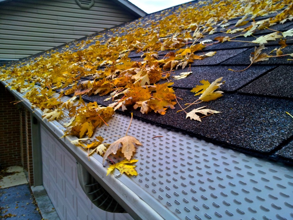 Gutter-Guard1-1024x768